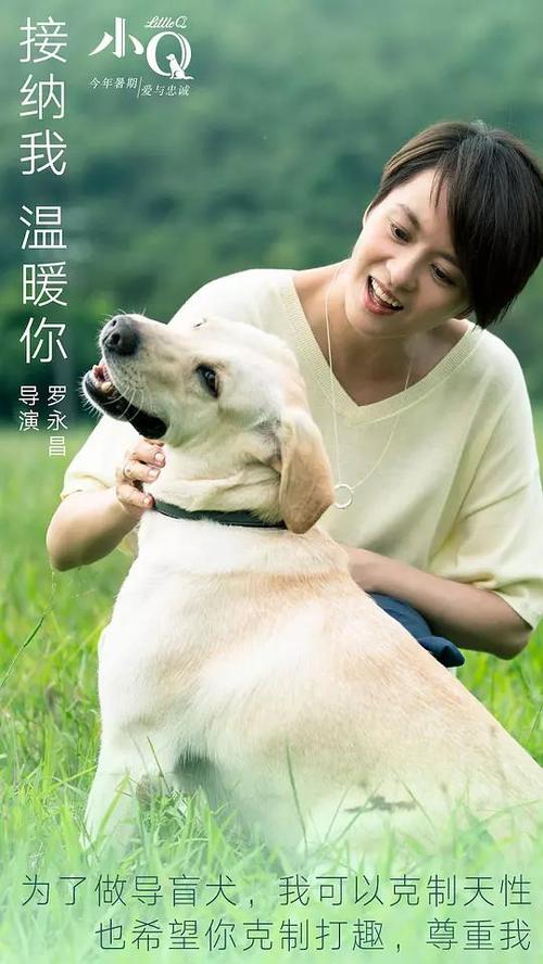 办华夏银行ATM机转账凭条